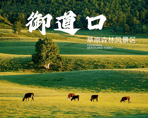 御道口草原森林风景区