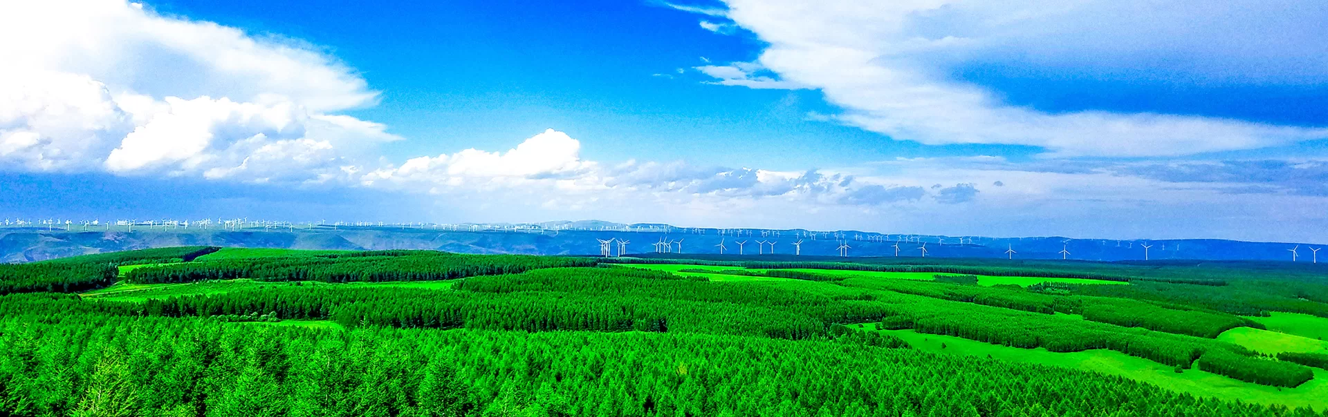 塞罕坝国家森林公园风景 2