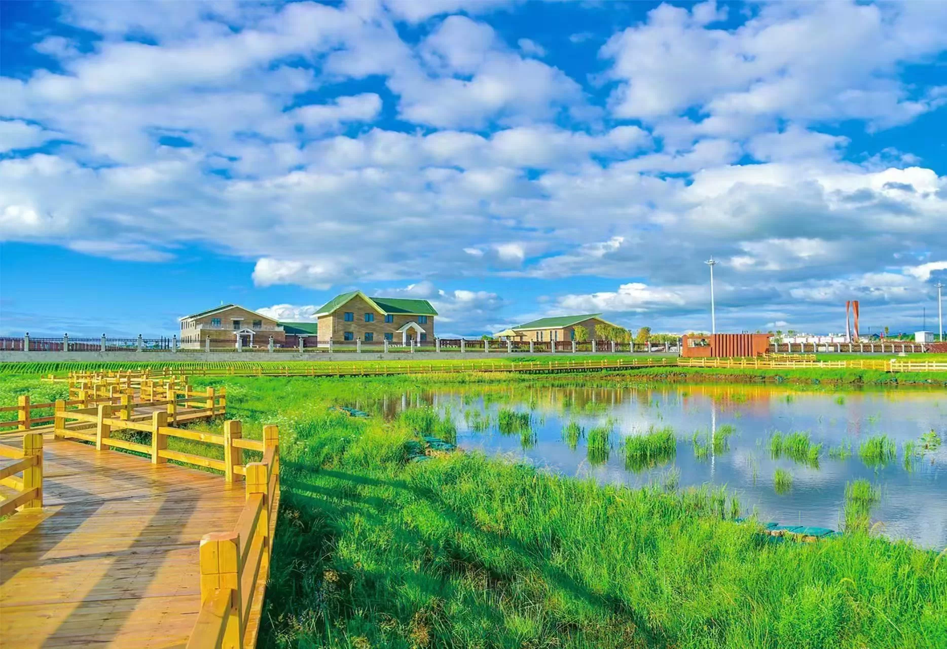 小滦河湿地公园风景 3