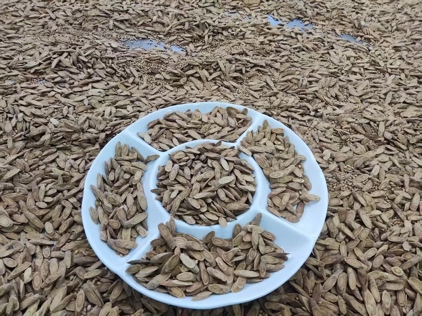 塞罕正米炒黄芪茶